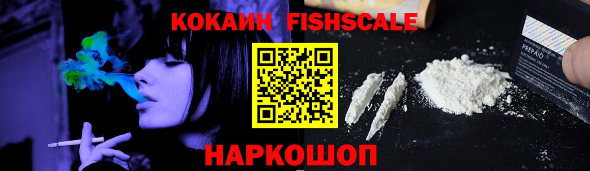 Каменка  КОКАИН Fish Scale  Вход с VPN 