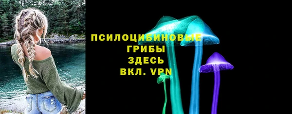 герыч Каменногорск
