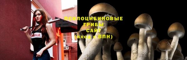 трава Каменка