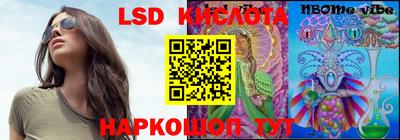 крисы Сочи