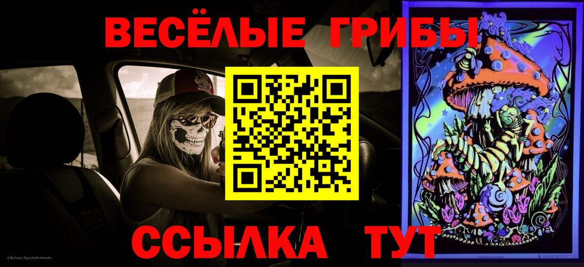 Псилоцибиновые грибы Psilocybine cubensis  Вход с VPN  Галлюциногенные грибы ЛСД  Каменка 