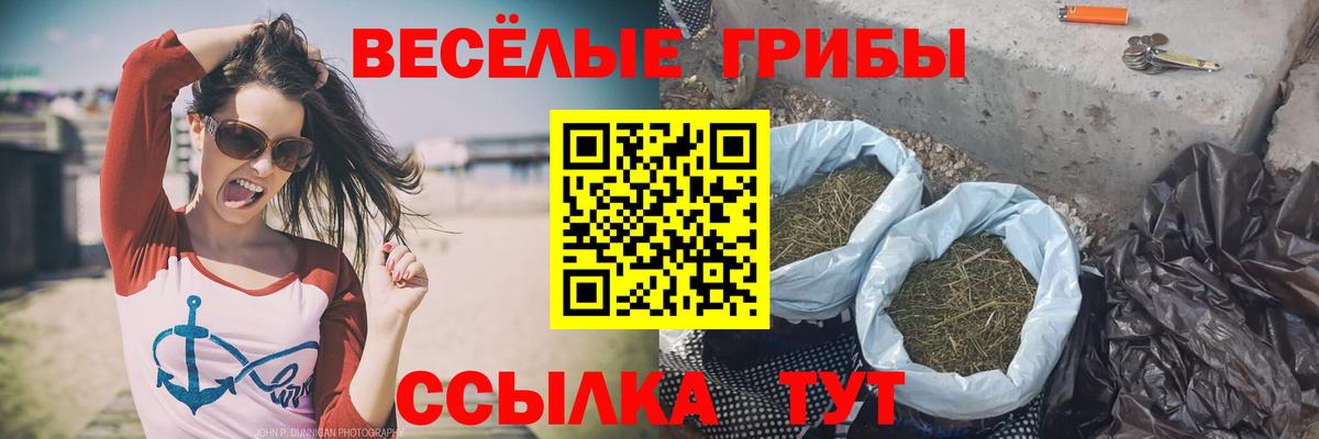Псилоцибиновые грибы Psilocybine cubensis Каменка